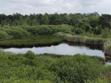 Photo de Kijkpunt natuurreservaat De Liereman