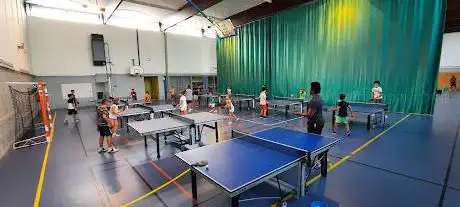 Photo de Castelginest Tennis de Table ctt31