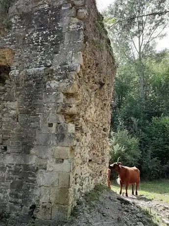 Photo de Monasterio de San Román de Entrepeñas
