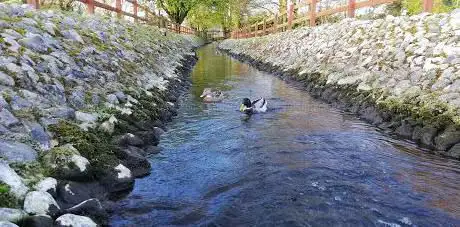 Photo de Town Park