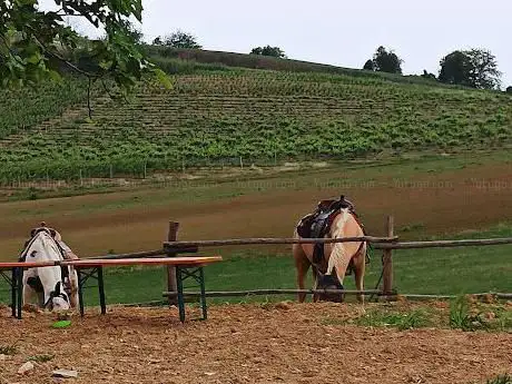 Photo de A.S.D. Sidepull Ranch Horses Maneggio in provincia di Alessandria
