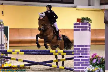 Associazione Equestre Bosco Basso Franciacorta