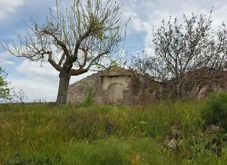 Photo de Parco Alta Murgia