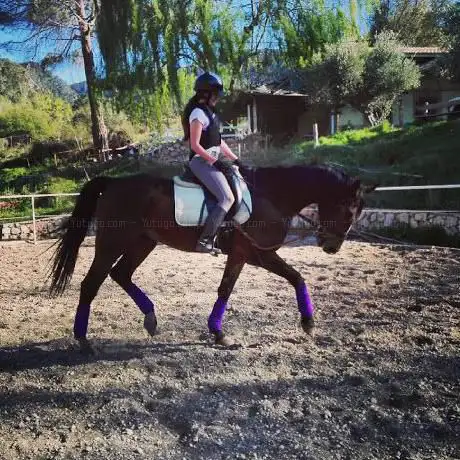Photo de CHCB (Club HÃÂpico El Caballo de Bronce)