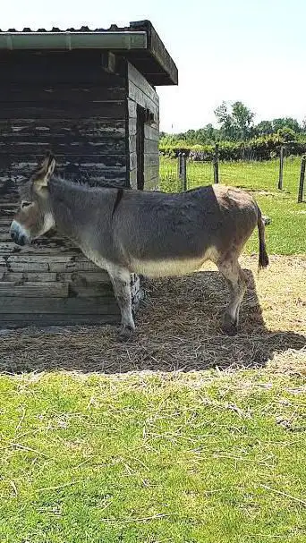 Photo de Parc des Compagnons des Saisons