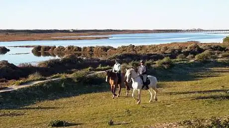 Photo de Pinetrees Riding Centre