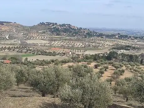 Photo de Mirador Camino Los Pinos