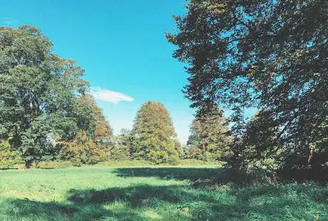 Photo de The Shrubberies Nature Reserve