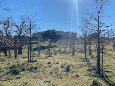 Photo de Bosque de RiofrÃÂo