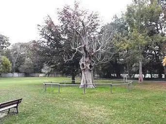 Photo de Parc de la Fossette