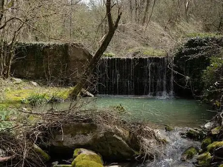 Photo de Bosco di Faeto