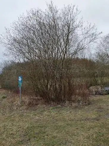 Siebenmatt Leuzigen