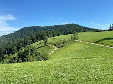 Auf der Hark