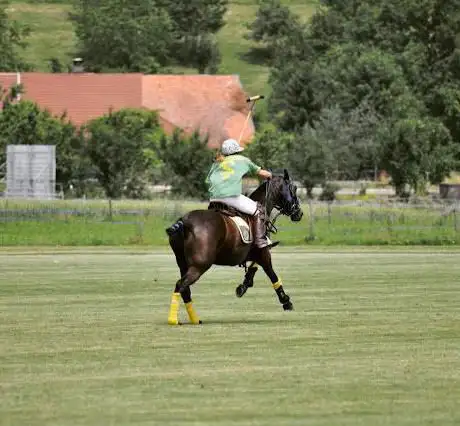 Polo Academy Switzerland (PAS)
