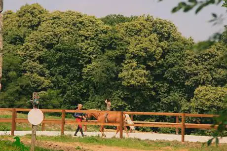 Photo de Écuries de Ronquerolles