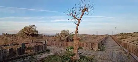 Photo de Sendero Parque Litoral