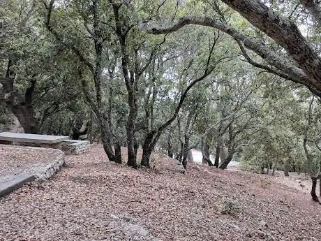 Area di sosta