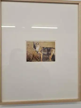 Photo de Hopstreet Gallery Brussels