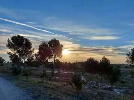 Photo de Parque de la Cantueña