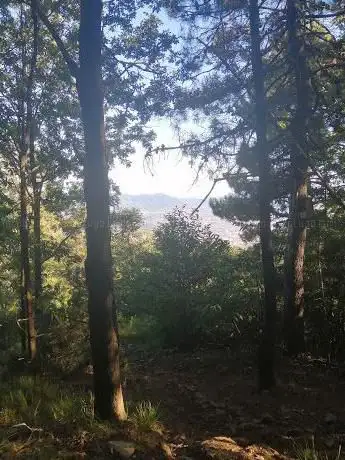 Photo de Monte Gromigno