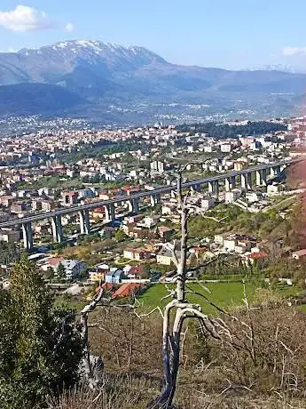 Photo de Bosco Di San Giuliano (Madonna Fore)