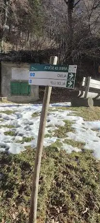 Photo de Forcellino di Pezzoro - Crocevia sentieri e zona pic-nic
