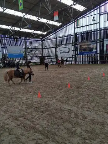 HORSE-CLUB.BE