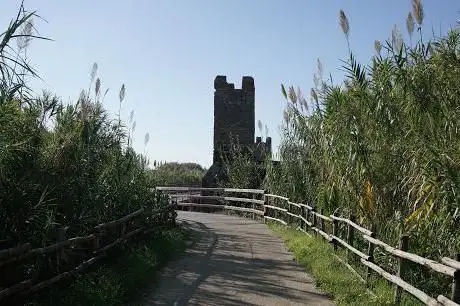 Pista Ciclabile Fiumicino - Parco Leonardo