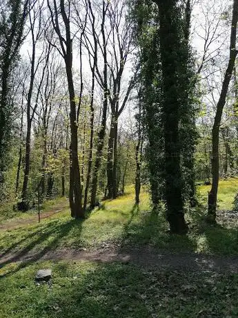 Photo de Parc Bellevue