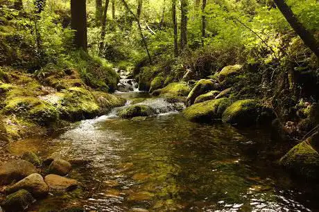 Photo de Rio De La Fraga