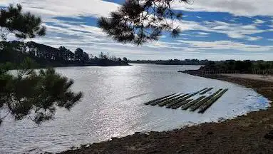 Photo de Plage de Gravasson