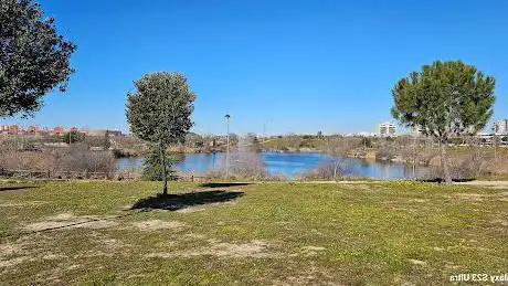Photo de Lago Parque Móstoles Sur