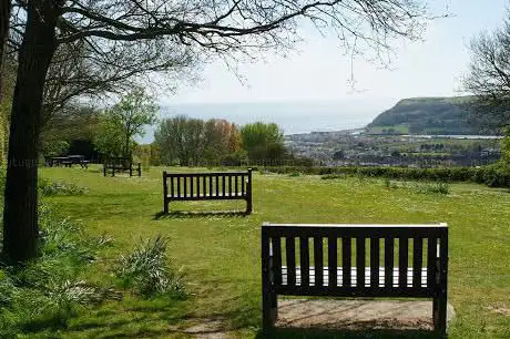 Seaton Down Picnic Area