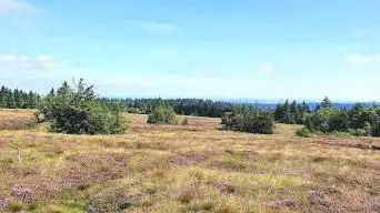 Point de vue