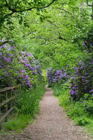Photo de North Mymms Woods