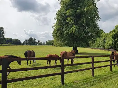 Fonthill Stud