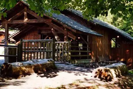 Photo de Ecomusée du Bois et de la Forêt