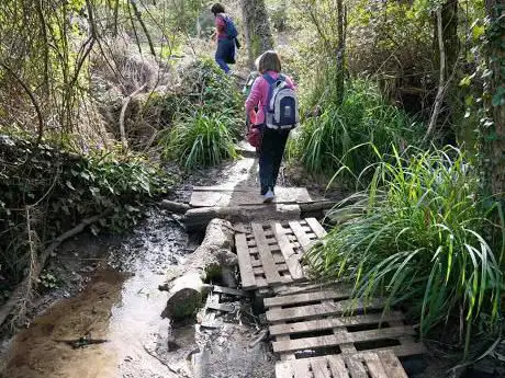 Photo de Pineta Sacchetti