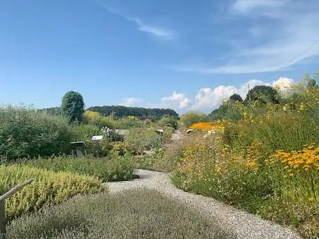 Photo de Arzneipflanzengarten VitaPlant AG