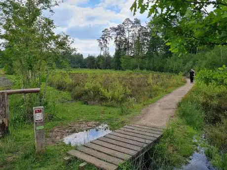 Averbode Bos en Heide