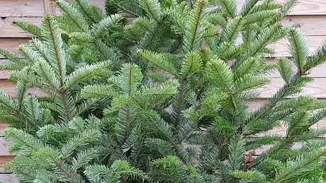 le Jardin d'EVA