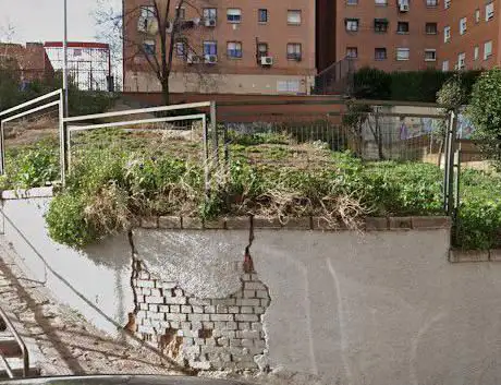 Photo de canino Park