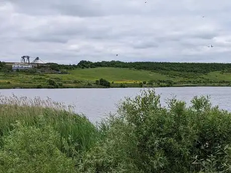 Bower's Lake