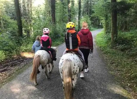 Böglihof