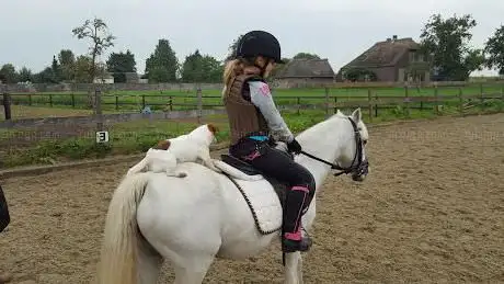 Photo de De Rijdende Ruiter