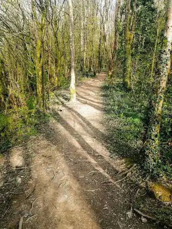 Parkway Woods Hollycroft