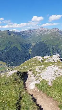 Signal Trail