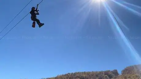 Squirrels Flying