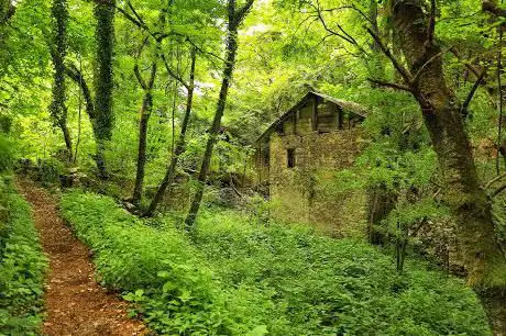 Ruderi Contrada Le Coste