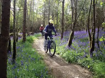 Photo de Bike Park Ireland